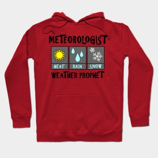 Meteorologist Weather Prophet Hoodie